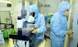 Kök hücre üretiminin maliyeti 8 milyon lira