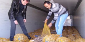 Nevşehir de patates üretimi