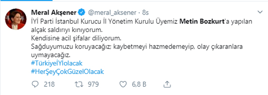 meral-aksener-kinama-resim-06.jpg