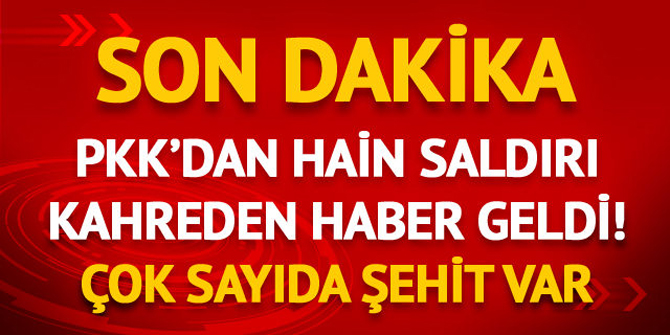 Son dakika! Siirt'te hain saldırı! Çok sayıda şehit var