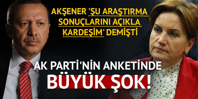 AK Parti'nin anketinden Akşener sürprizi!