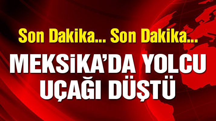 Meksika'da yolcu uçağı düştü