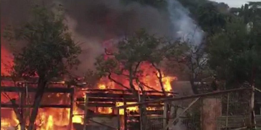 İstanbul Büyükada'da yangın çıktı.