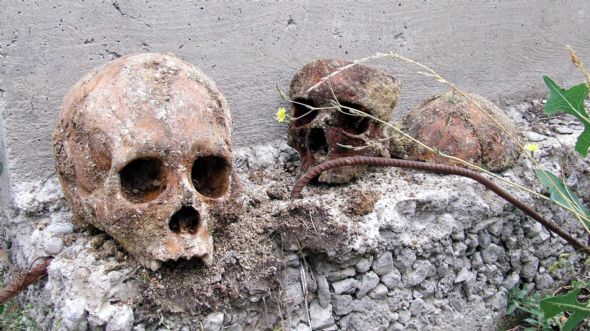 Temel kazısında iskeletler bulundu