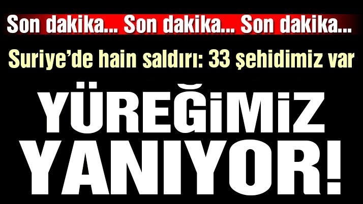 Hatay Valisi: 33 Askerimiz şehit oldu