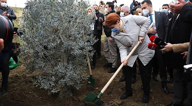 ‘Sallayın düşecekler’ diye seslenen vatandaşa Akşener’den dikkat çeken cevap