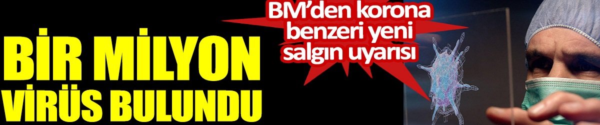 Bir milyon virüs bulundu. BM’den korona benzeri yeni salgın uyarısı