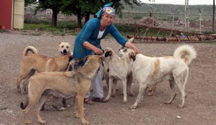 Köpekleri için evsiz kaldı