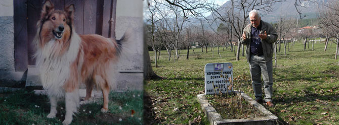 Köpeğinin mezarı başında dua okuyor