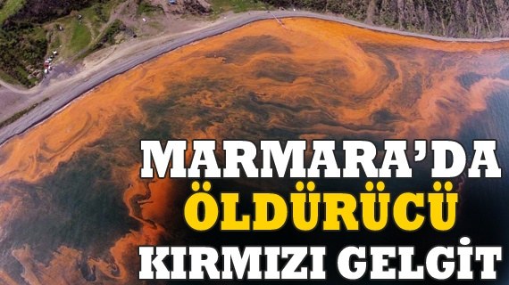 Marmara Denizi Neden Turuncu Oldu?