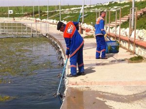 Büyükçekmece gölü temizlendi