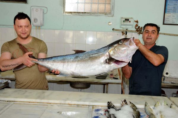 25 kiloluk Akya balığı pastırma olacak