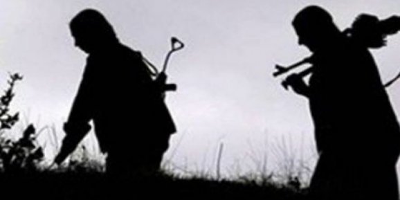 Diyarbakırın Lice İlçesinde PKKlılar yol kesip 4 askeri kaçırdı