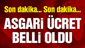 2018 yılı asgari ücretleri belli oldu