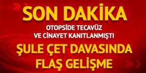 Ankara'da plazanın 20'inci katından düşerek ölen Şule Çet davasında flaş gelişme!