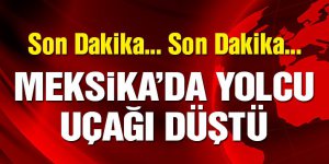 Meksika'da yolcu uçağı düştü