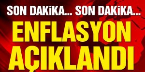 Son dakika: Enflasyon rakamları açıklandı