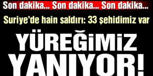 Hatay Valisi: 33 Askerimiz şehit oldu