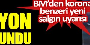 Bir milyon virüs bulundu. BM’den korona benzeri yeni salgın uyarısı