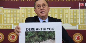 İYİ Partili Türkkan: Ruhsan Pekcan Yüce Divan'a gönderilmeli