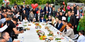 Meral Akşener: Kavgayı bitirecek bir hayalim vardı