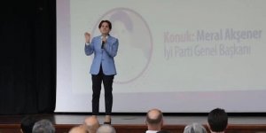 Meral Akşener: 'Vatandaşın parlamenter sisteme geçiş talebi var'