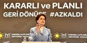 Meral Akşener'e verilen göç brifingi