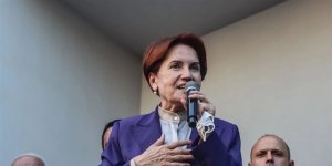 Akşener: Alçak heveslerle çıkarılan yangınlar hepimizi korkuttu