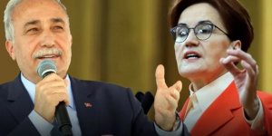 Ahmet Eşref Fakıbaba'nın istifasında yeni iddialar: Akşener'den ne istedi?