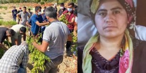 Zeytinlikte bulunan kadının ölüm nedeni belli oldu