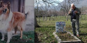 Köpeğinin mezarı başında dua okuyor