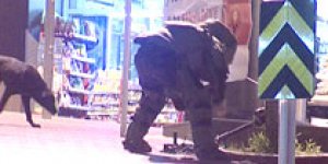 Bomba imha ekibine köpek engeli
