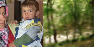 3 yaşında ormanda tek başına!