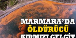 Marmara Denizi Neden Turuncu Oldu?