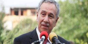 Bülent Arınç yerel basına yüklendi