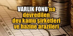 Çok sayıda şirketteki Hazine hisseleri Varlık Fonuna devredildi