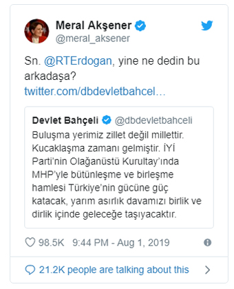 meral-aksener-resim-07.jpg